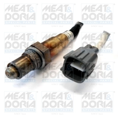 Oxygen Sensor